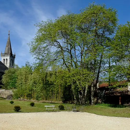église