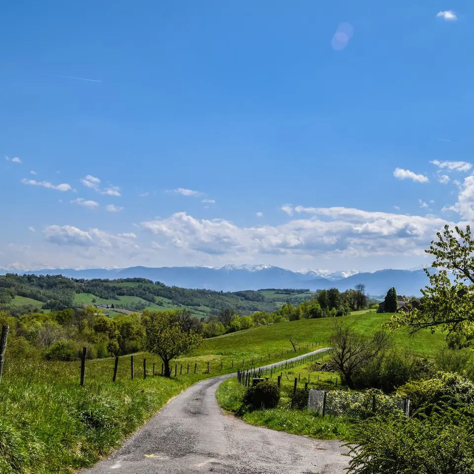 Vue Pyrénées