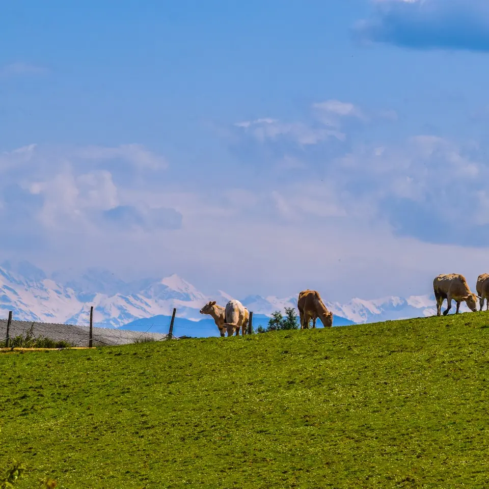 Vue Pyrénées
