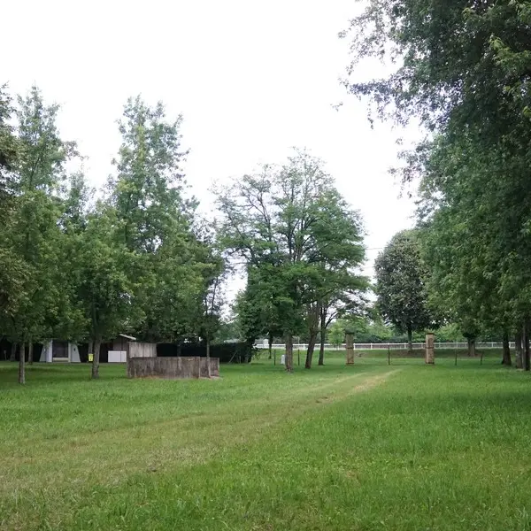 DSC00164