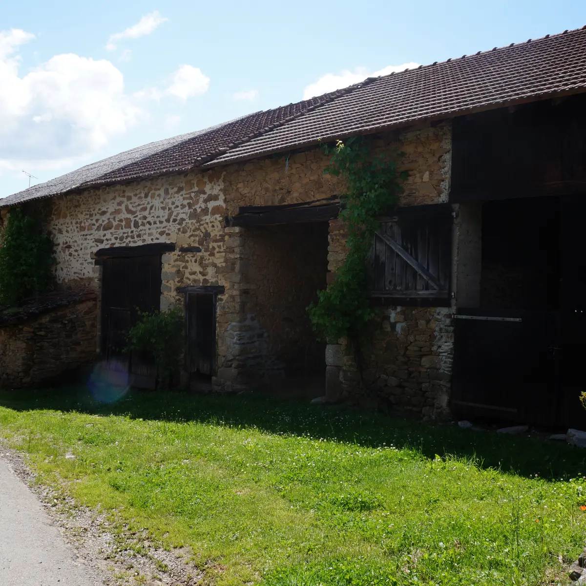 DSC05183