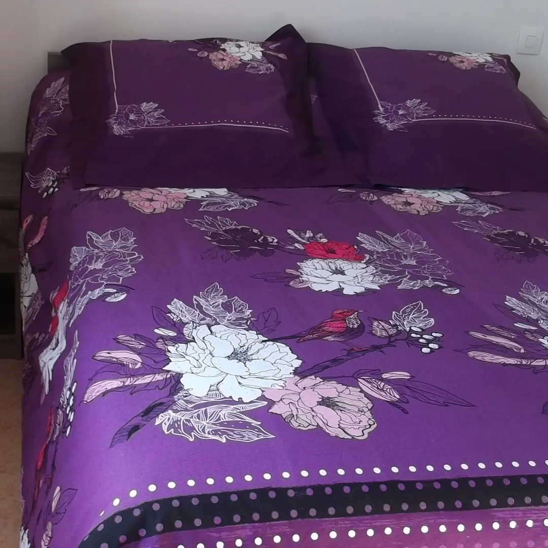 CHAMBRE NINAUD T4 ST CIERS