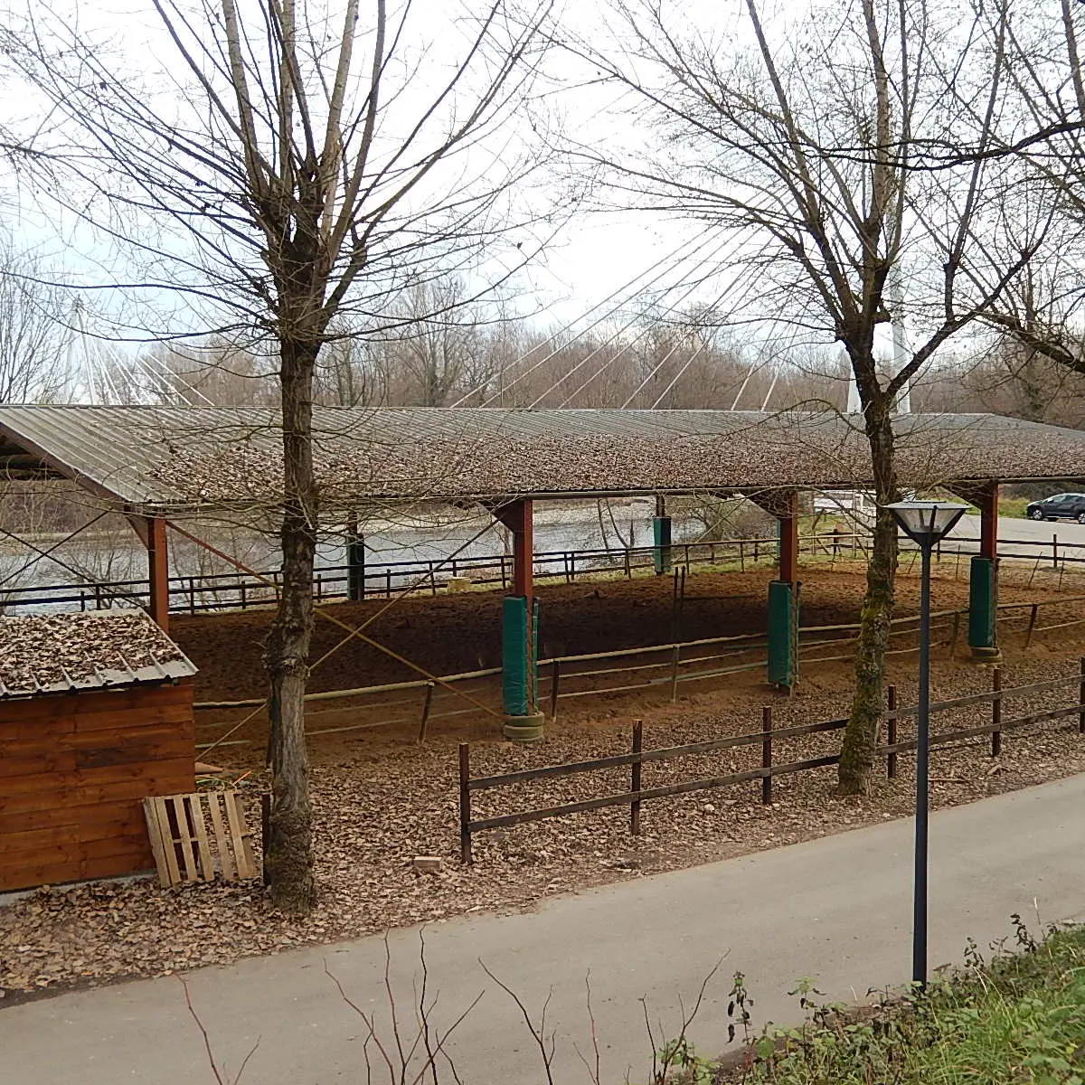 Cheval Détente - Laroin - manège couvert
