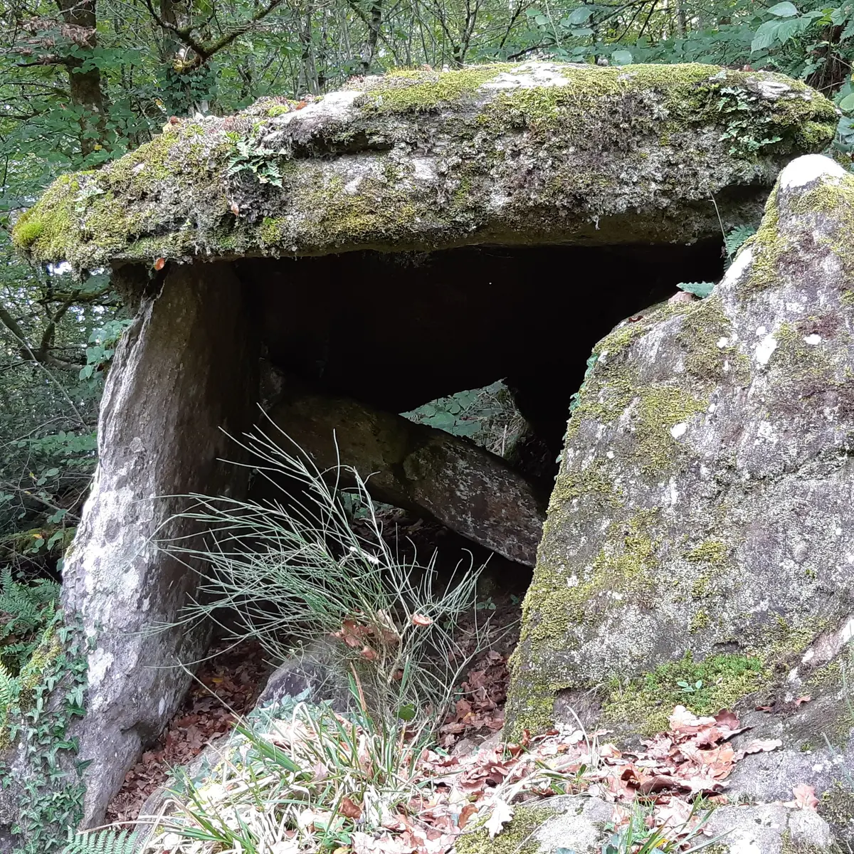 Du POC au Dolmen - Espartignac © A.Blanchet - Office de Tourisme Terres de Corrèze (7)