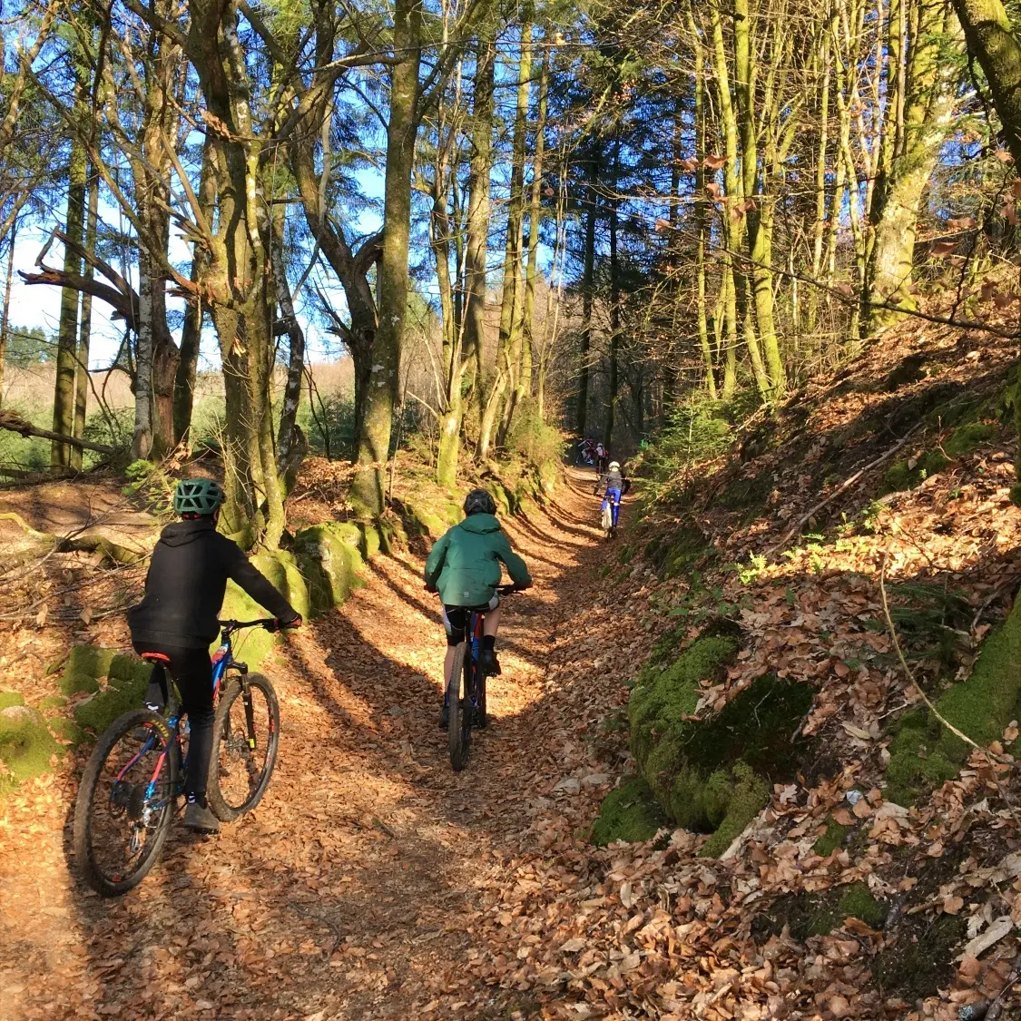 Espace VTT-FFC Monts de Blond (1)