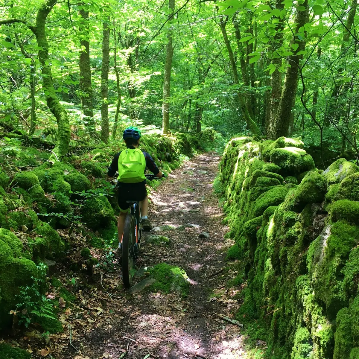 Espace VTT-FFC Monts de Blond (2)