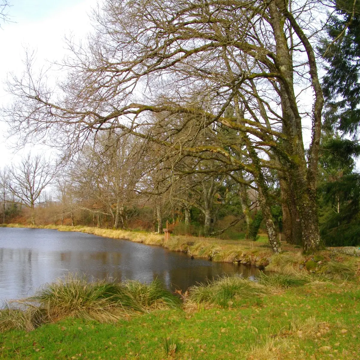 Etang Lama
