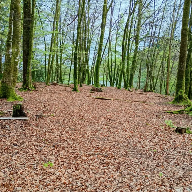 Pause au coeur de la Nature