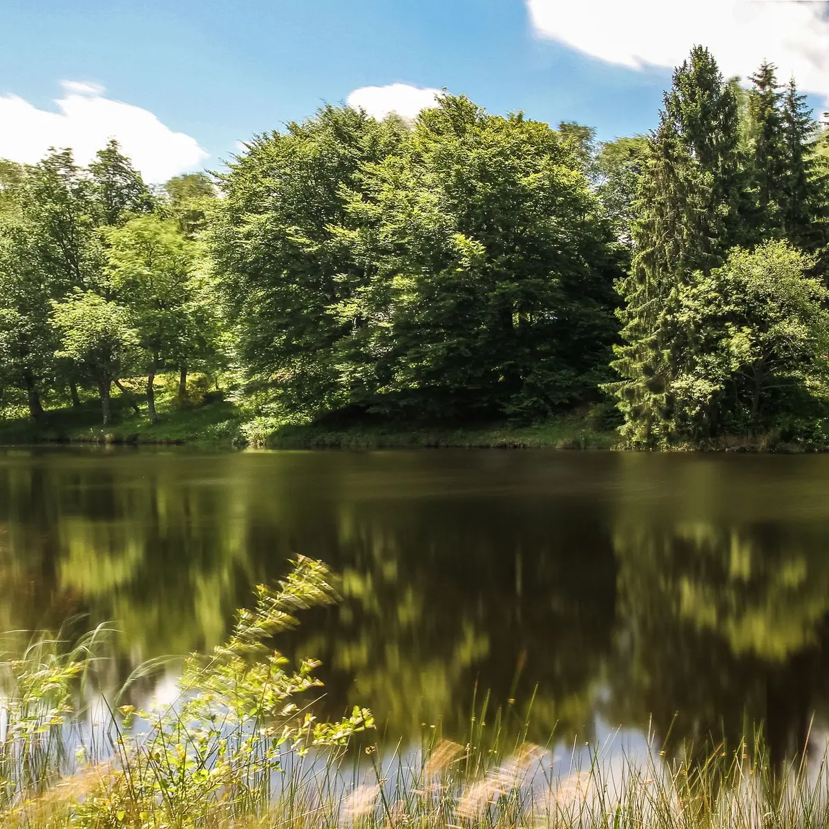 Etang de Lacelle  © Nicolas Granger
