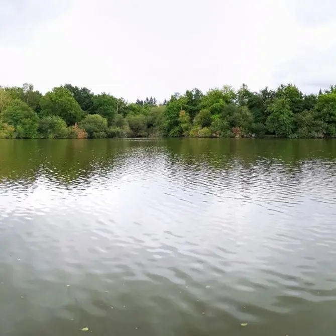 Etang des Bussières