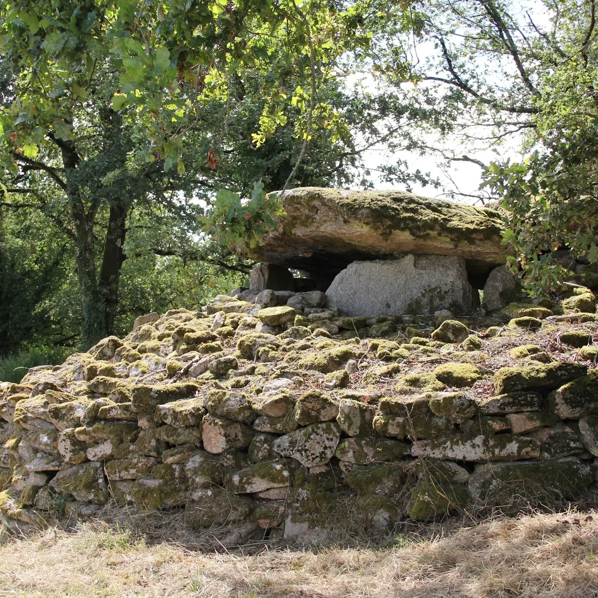 Dolmen des Goudours