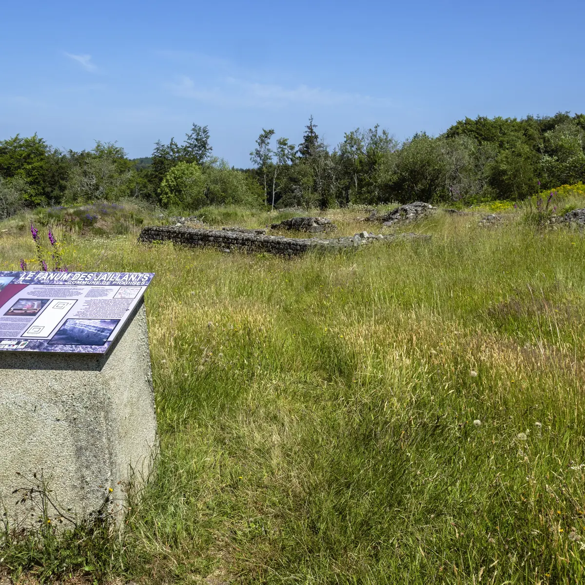 Panoramas