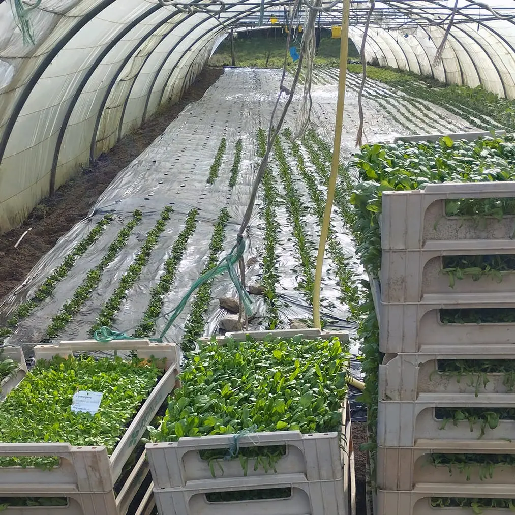 Ferme de la chabasse serres