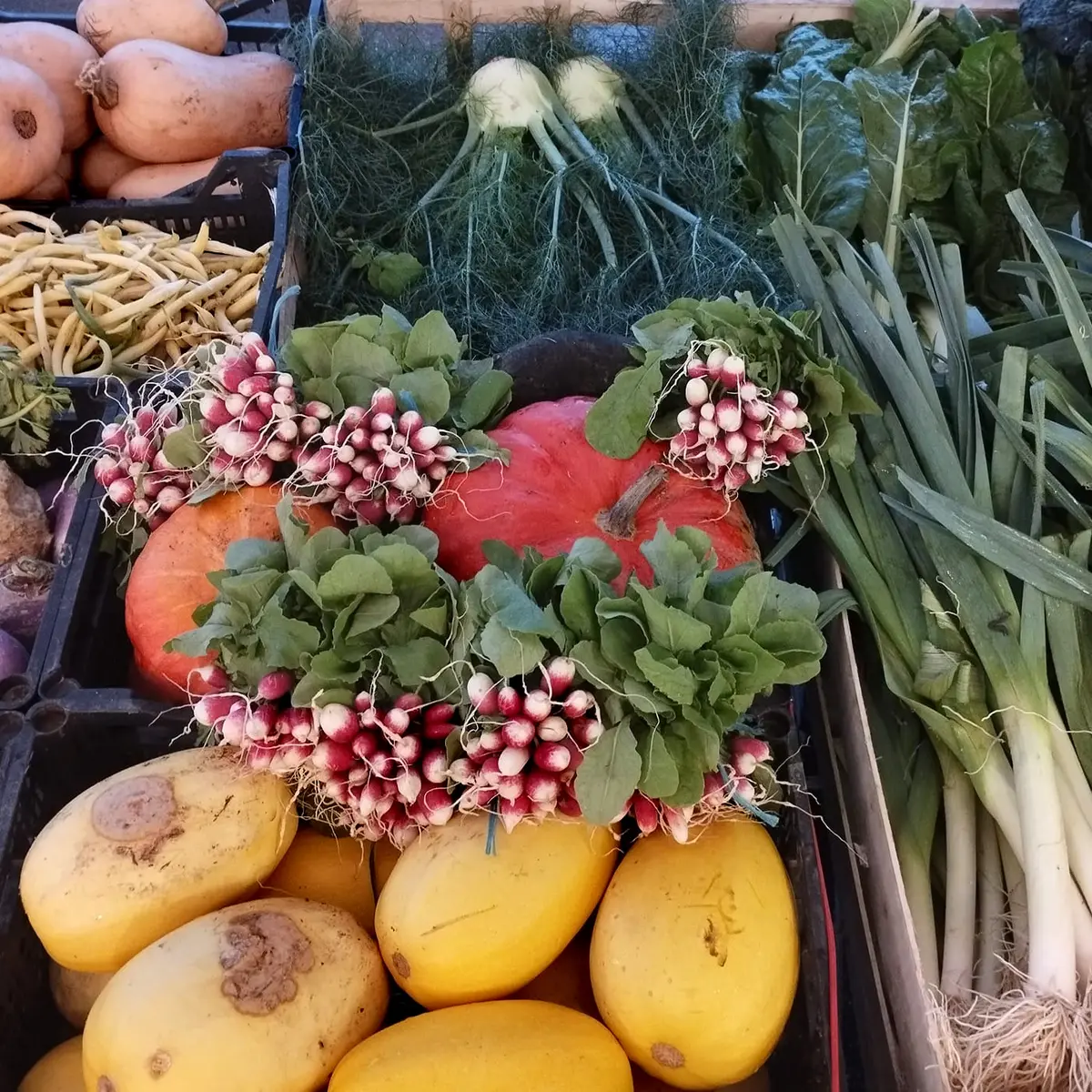 Ferme de la chabasse Légumes