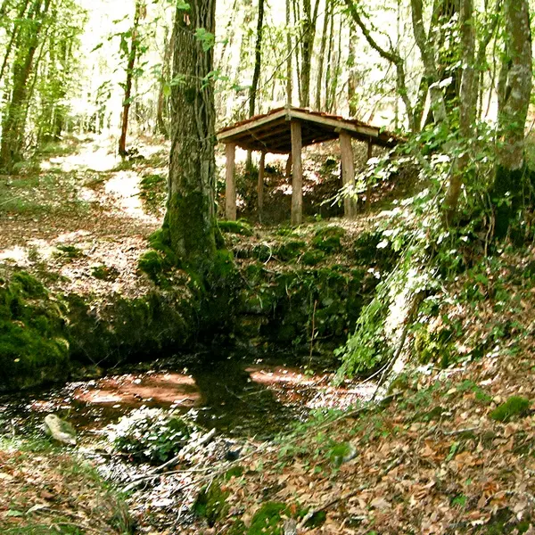 Fontaine des Nardoux 06-10 - 05