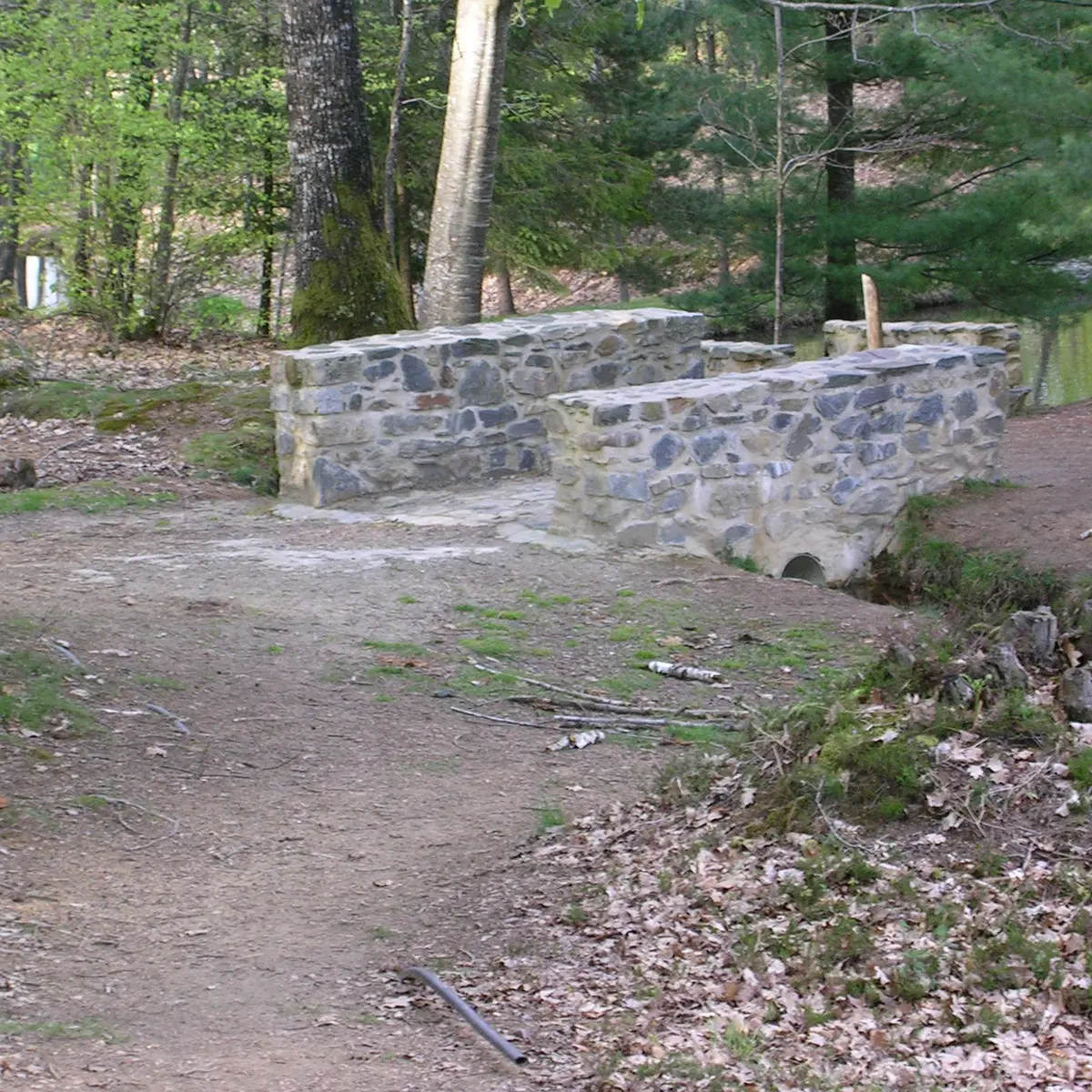 Forêt Loges 1