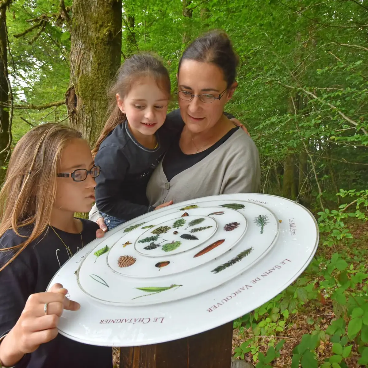 Sentier d'interprétation de la Forêt d'Épagne à Sauviat-sur-Vige en Limousin