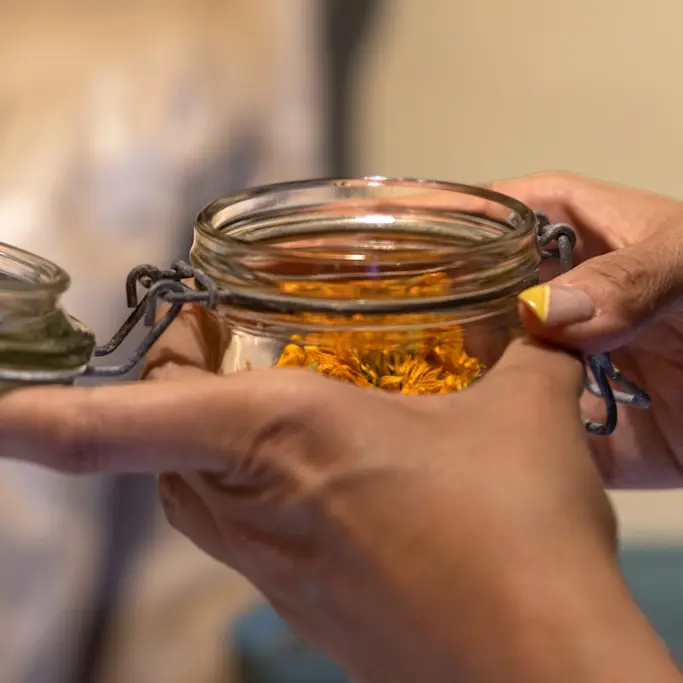 Foret jardin du petit Chavanat (6)