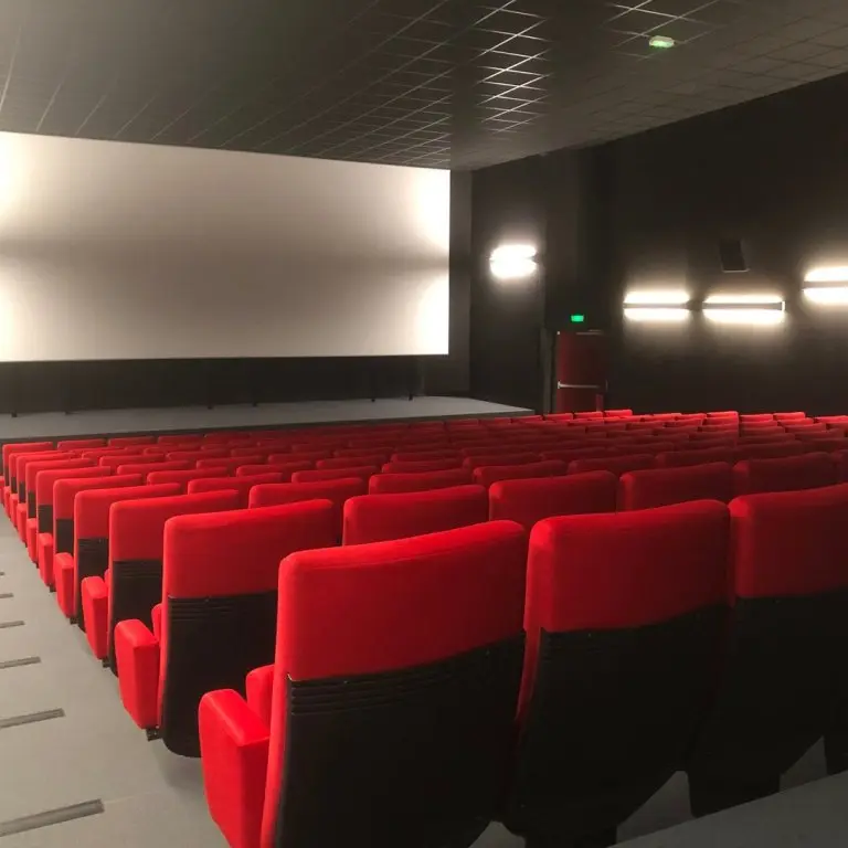 Grande salle Cinéma Arévi