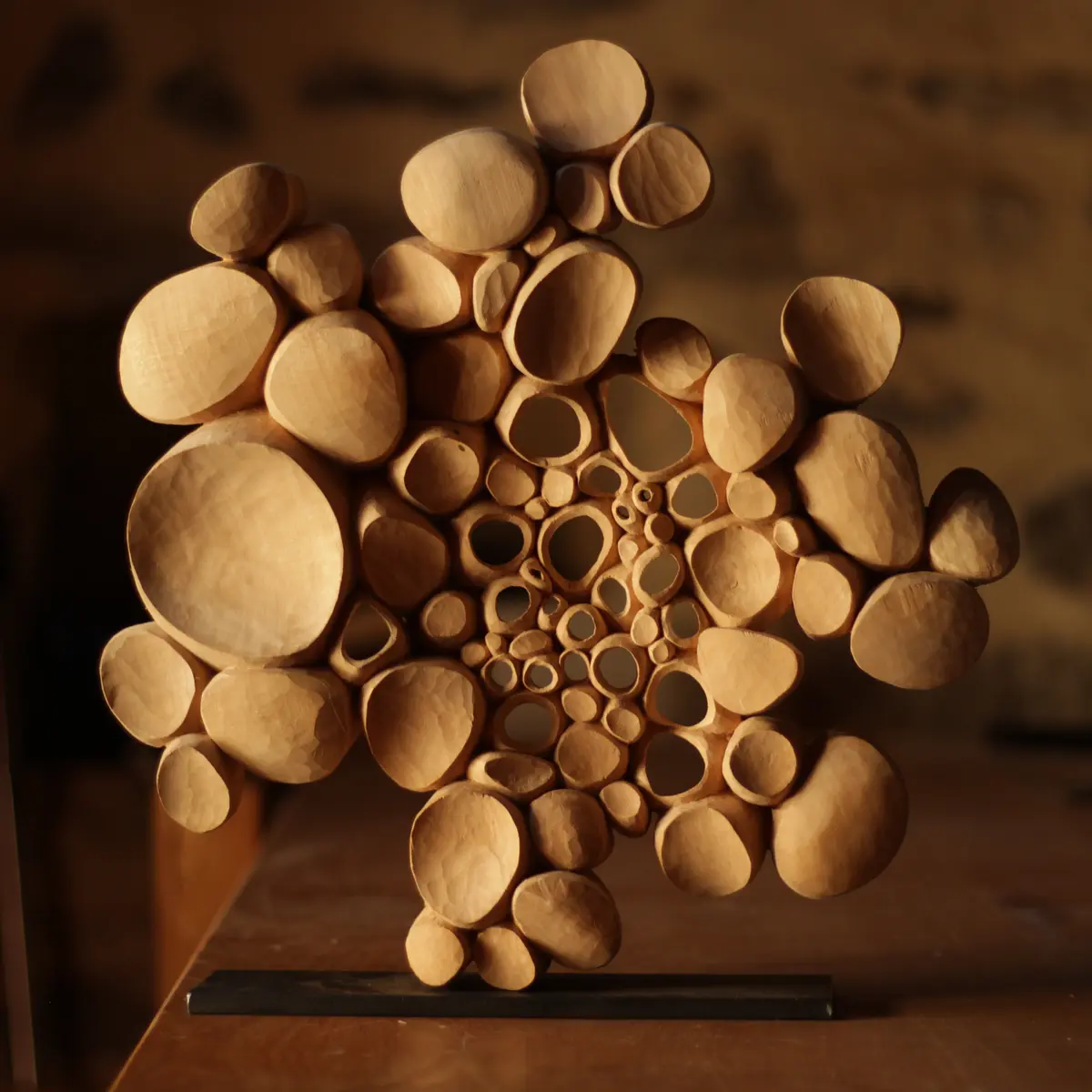 HFS_Cellules de Matière 1_crédit Antonin Bureau