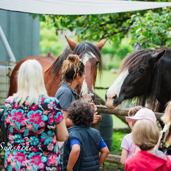 Puy Jaillant Family Farm