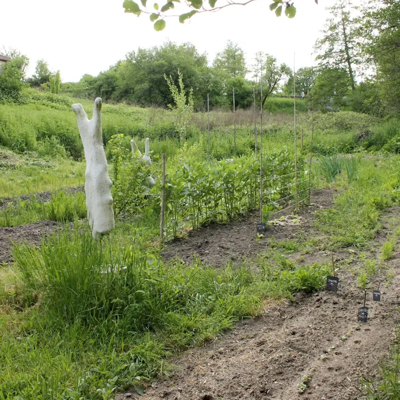 Jardin La Caille