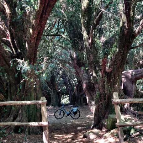 Peyrassoulat_vélo_Chéronnac