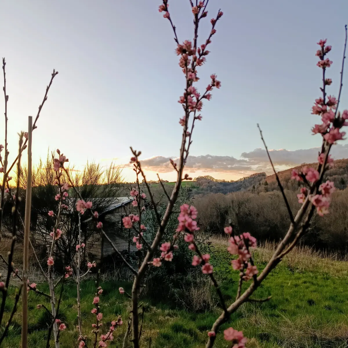 Vue depuis la Kerterre