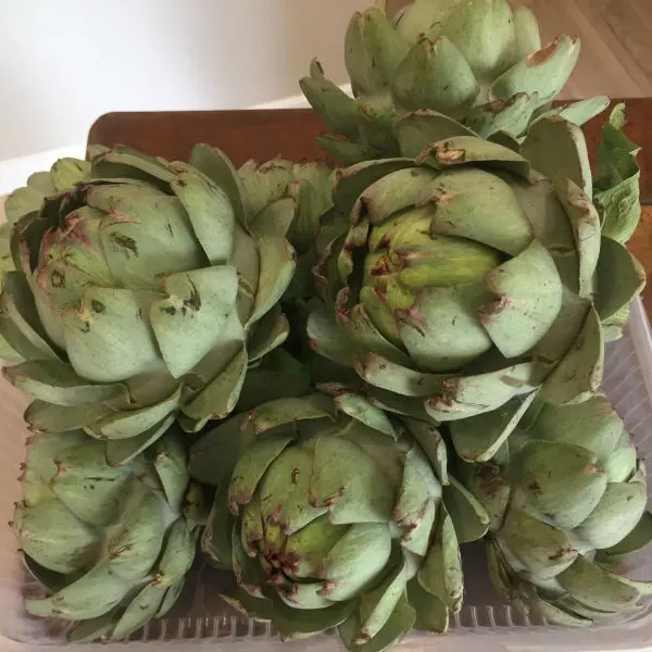 IMG-3758---800-x-600