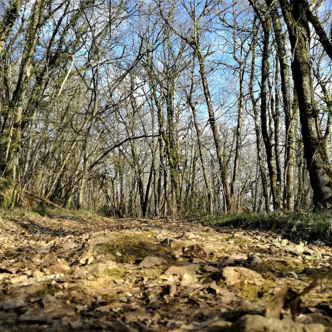 ITI_Boucle_de_la_Boissonie_rando (2)