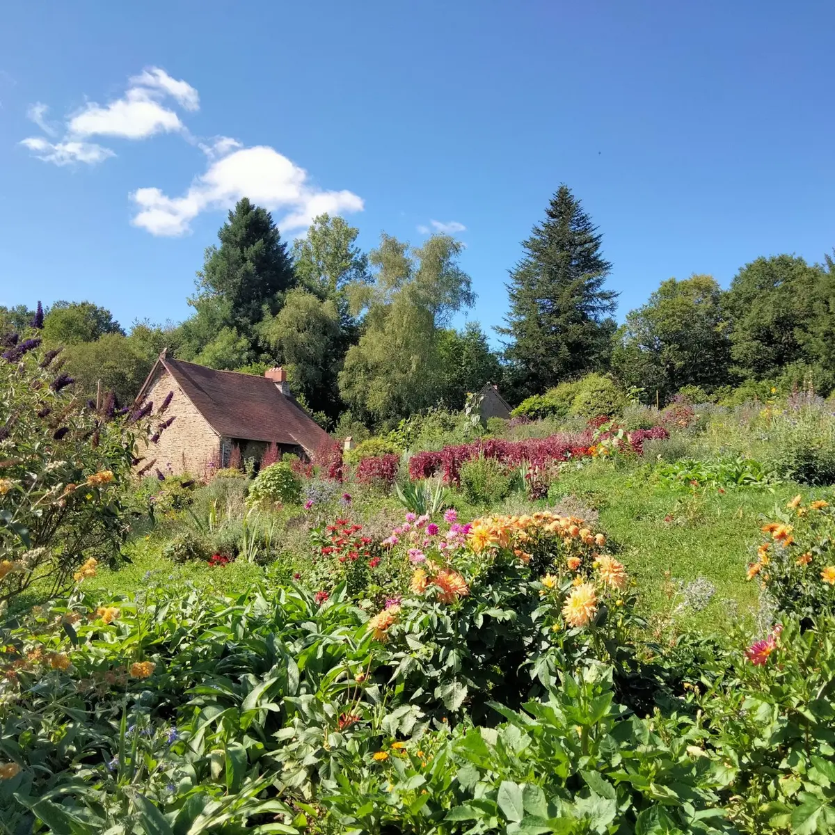 Jardin de Giulio 1 OTI Pays de St Yrieix