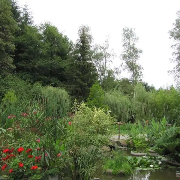 Jardin du parc de féeriland_4