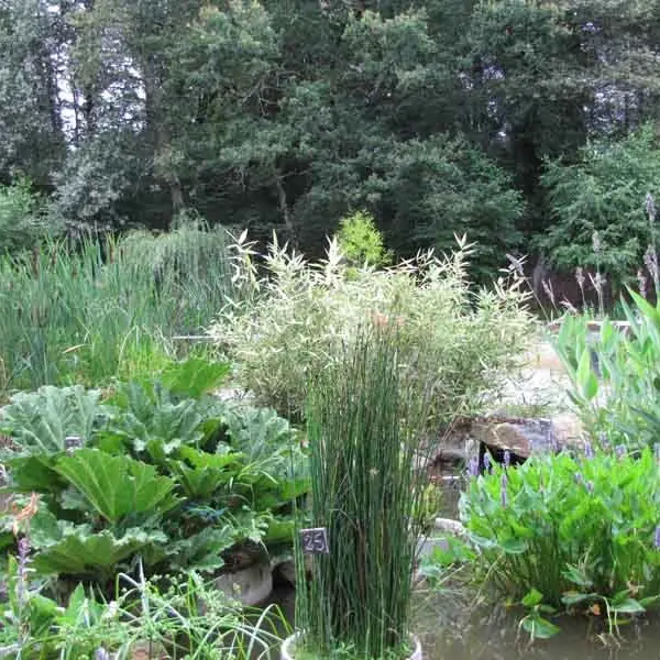 Jardin du parc de féeriland_2