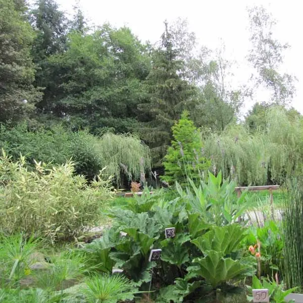 Jardin du parc de féeriland_3