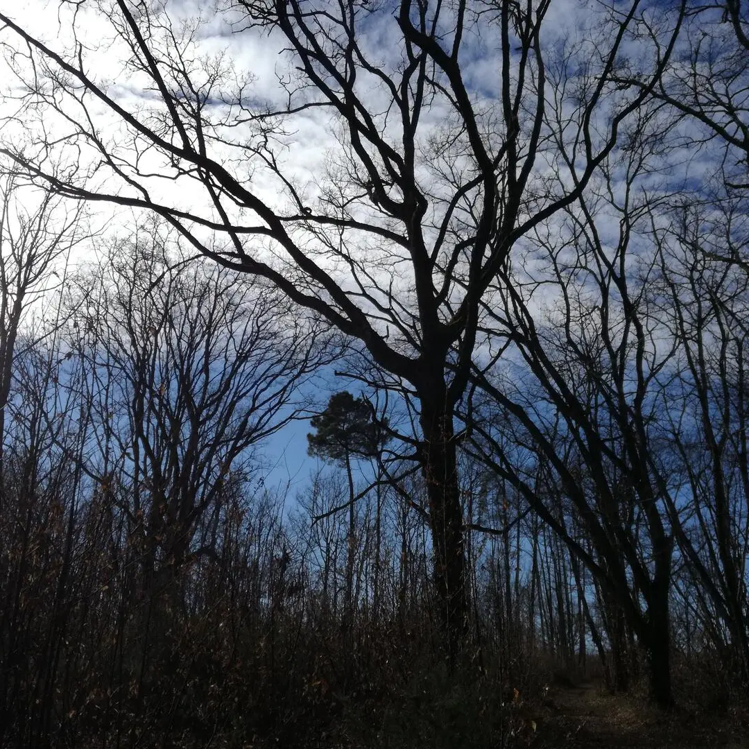 Journiac-Pechorel-06022020 (14)