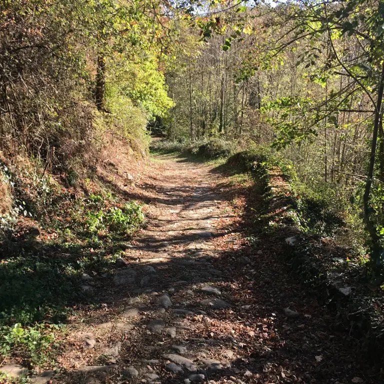 des-viaducs-la-pars-urbana-dantone - Kotcha