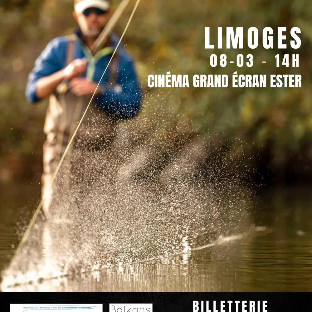 LIMOGES Affiche Rise 2026