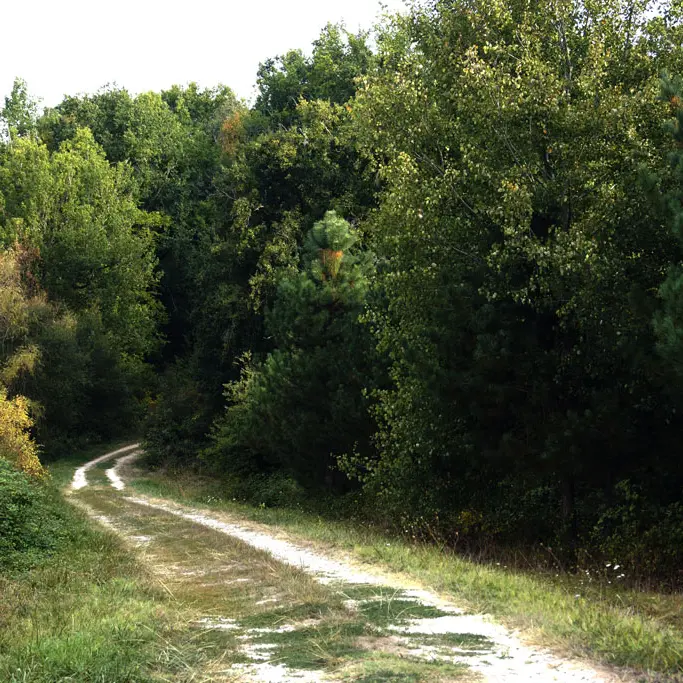 LUNAS__Marie_Grasseau_OTBSD__15_