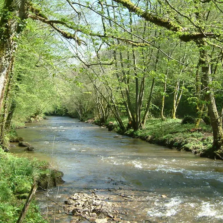 La Combade en aval du Pont de Masléon une rivière pour la pêche aux salmonidés en Haute-Vienne