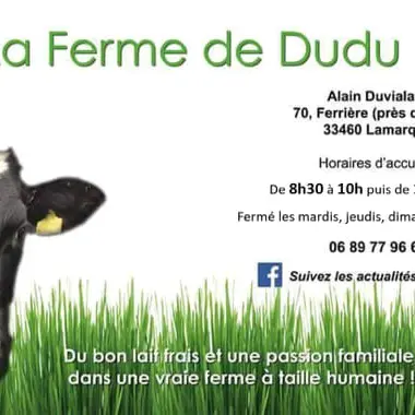 La Ferme de Dudu (affiche)