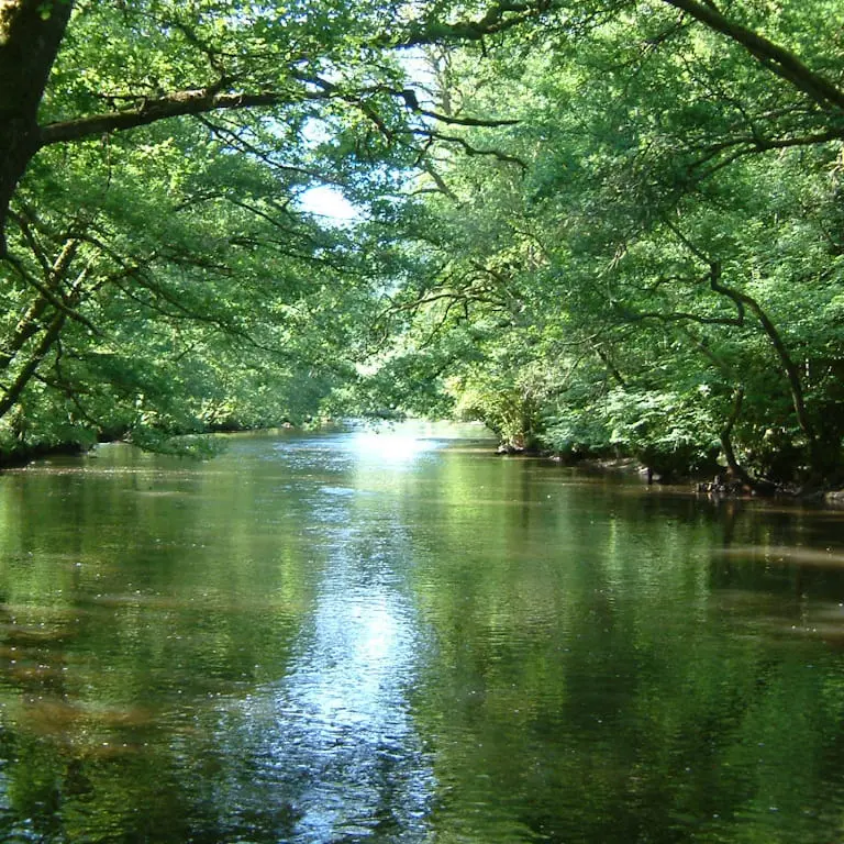 La Vienne à Saint Denis des murs en aval du Pont du Râteau spot de pêche aux salmonidés et cyprinidés
