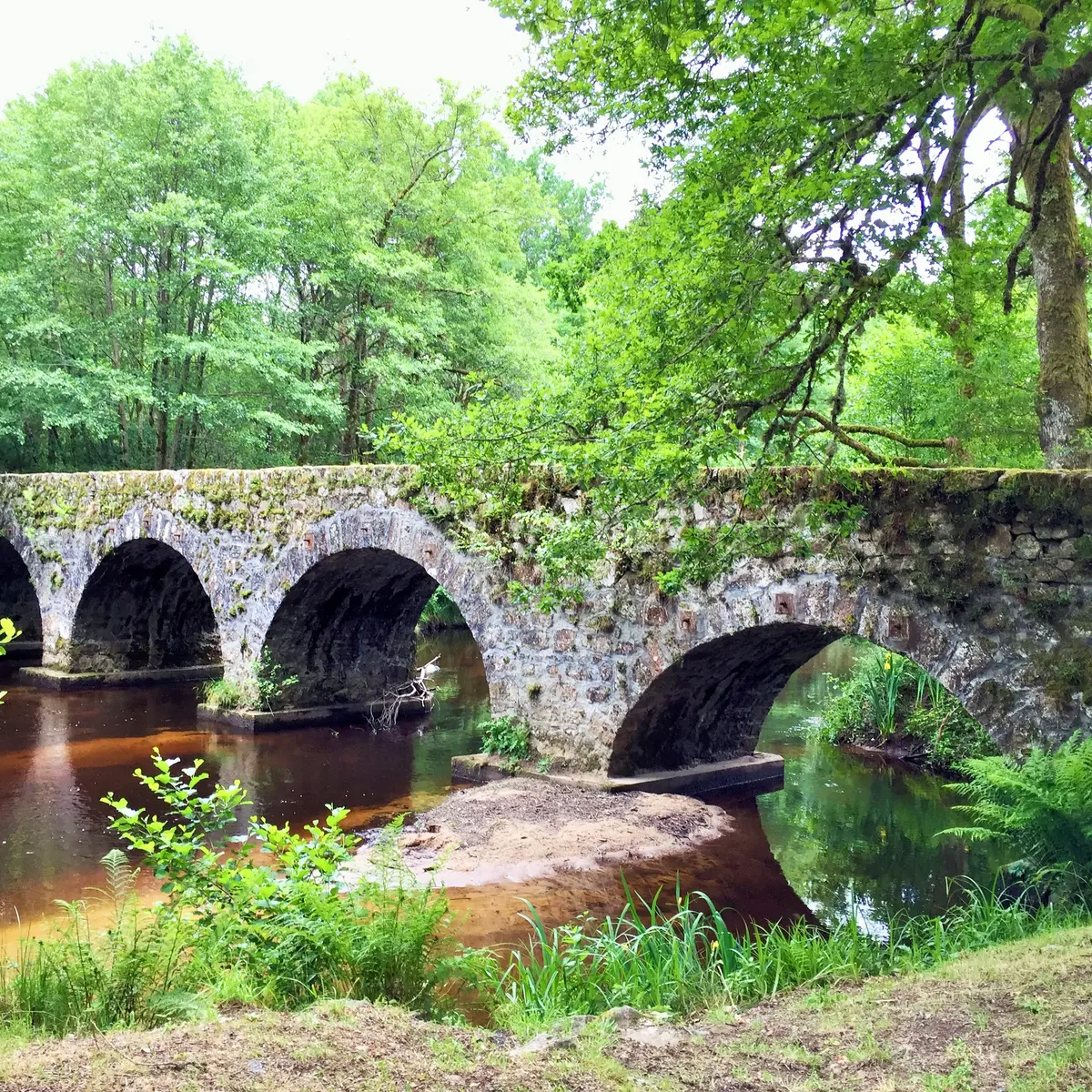 Le Pont de Claveyrolas, à Nedde