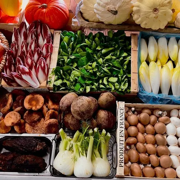 Le-petit-mag légume