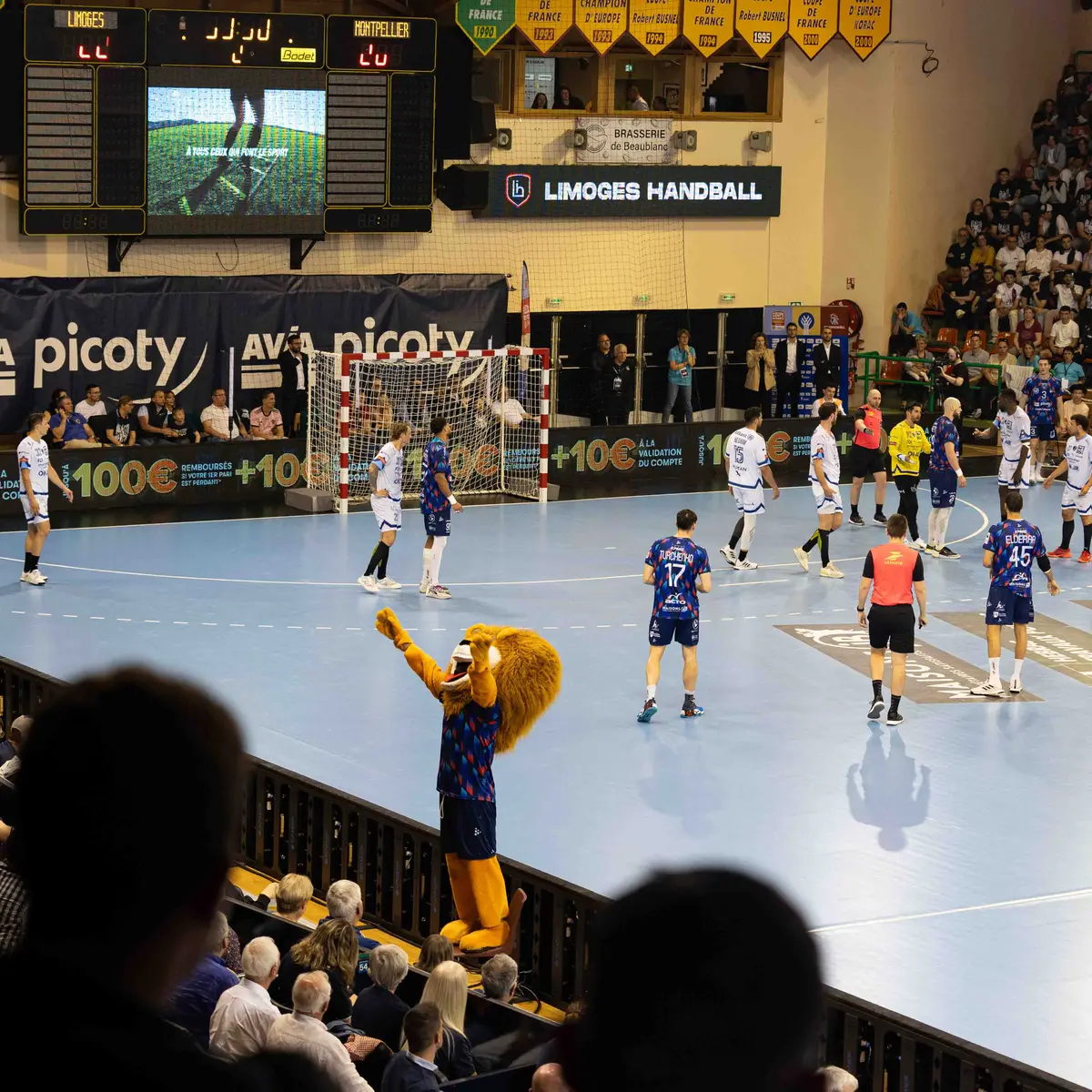 Limoges Handball - 12-2030