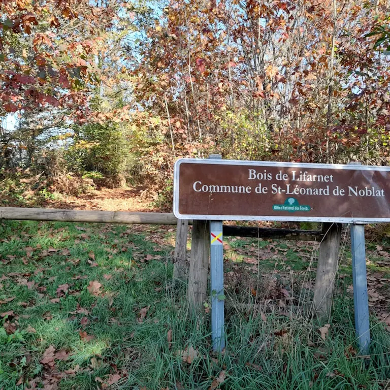 Lifarnet une forêt communale de Saint Léonard de Noblat gérée par l'ONF