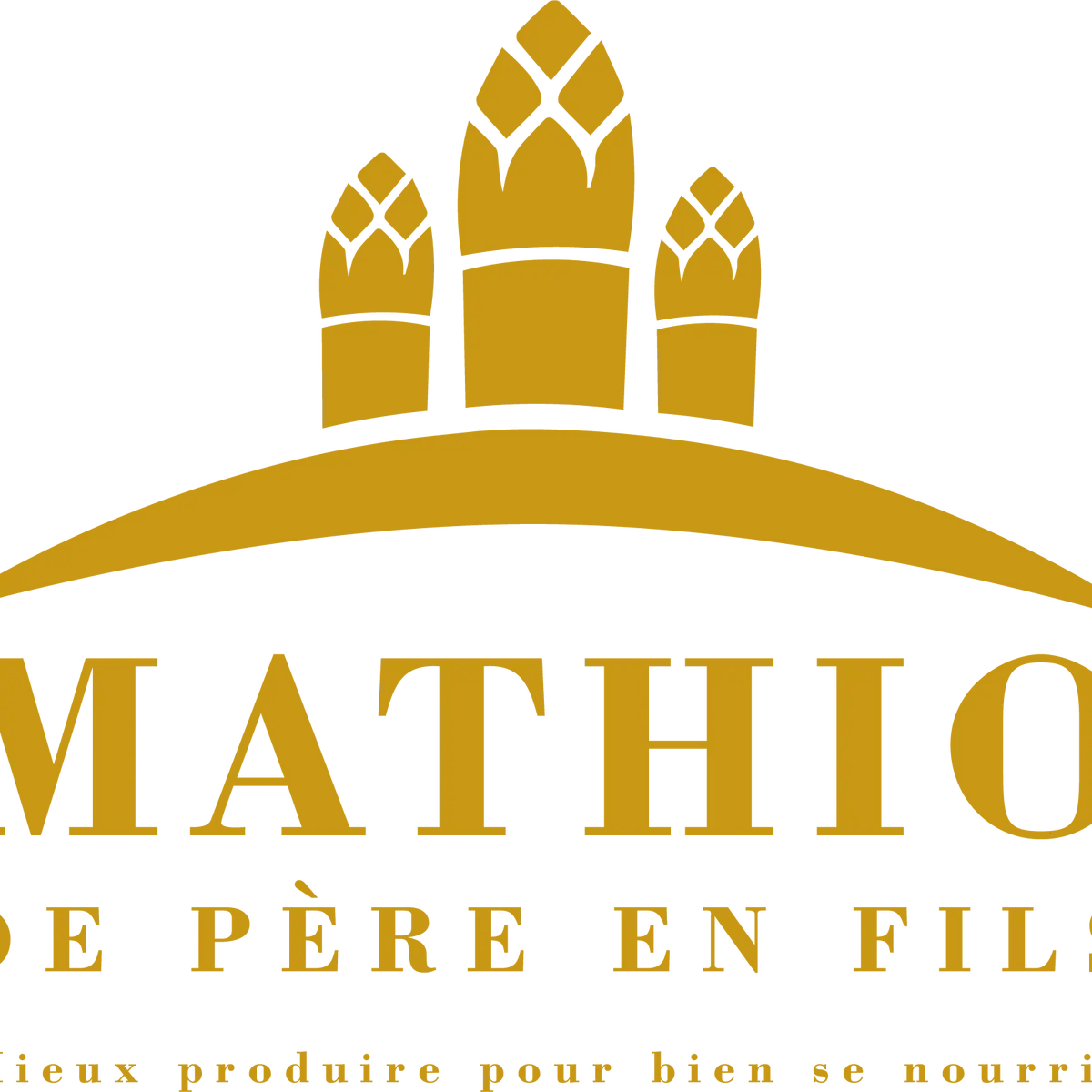 Ferme Mathio_Tosse_Landes Atlantique Sud
