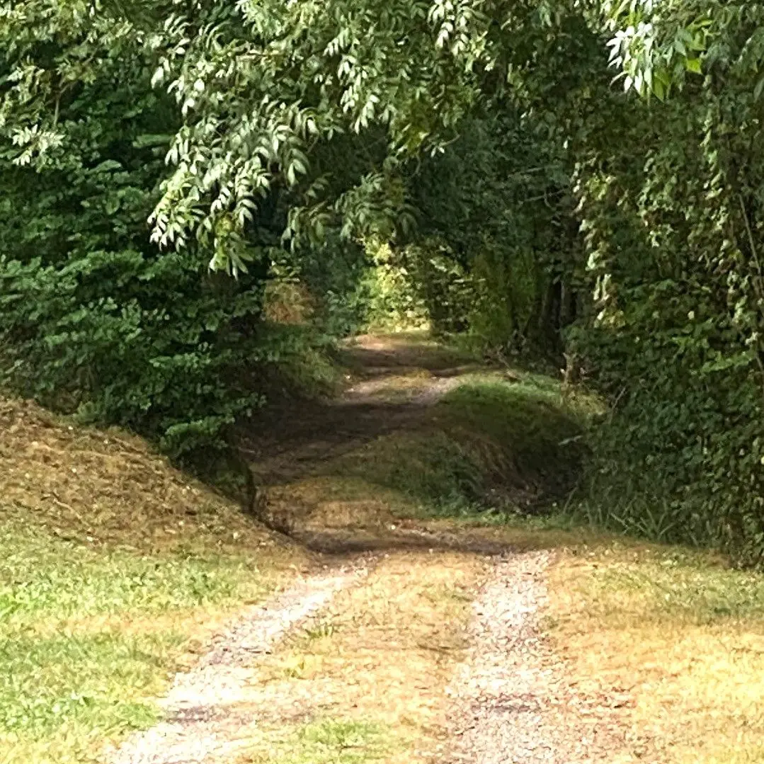 MANZAC SUR VERN-Tour du Freyrat-Chemin
