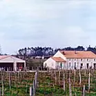Marcillac - Domaine de Tout L'Y Faut