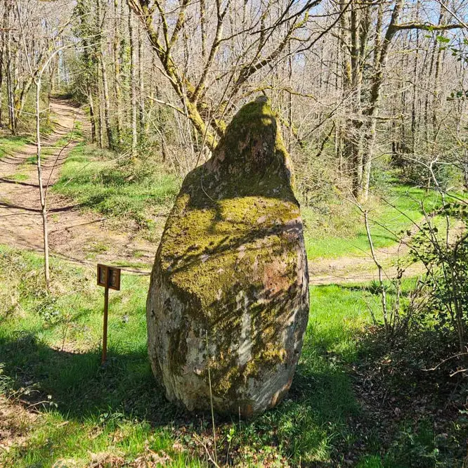 Menhir du Theil 8 - Sirtaqui