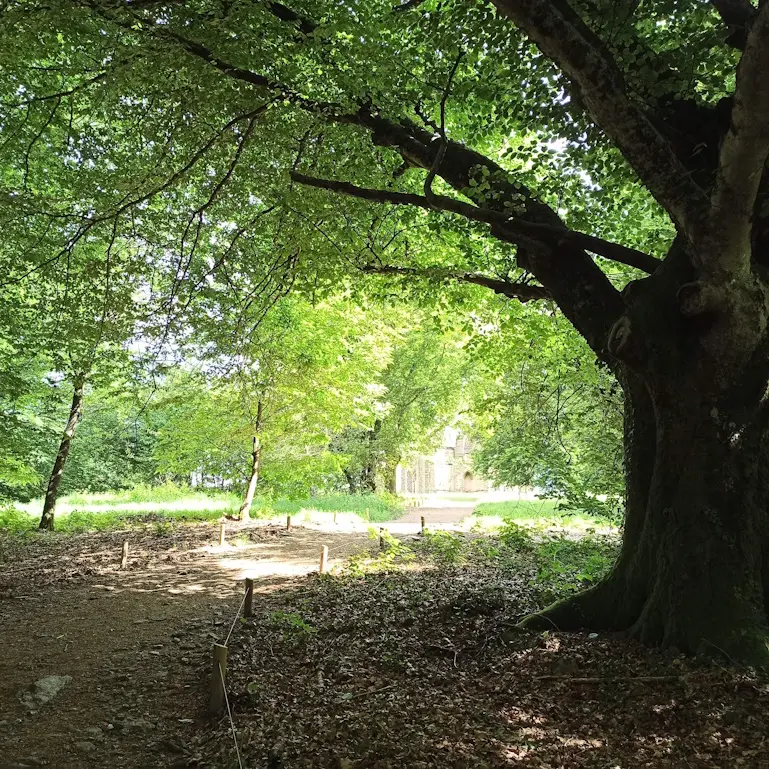 Mont Gargan 2024-06 après travaux Département